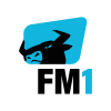 FM1_positiv_rgb